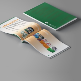 Brochure Acquisizione Standard